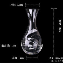 Load image into Gallery viewer, Modern Wine Glass Wine &amp; Decanter Set
