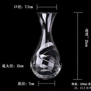 Modern Wine Glass Wine & Decanter Set